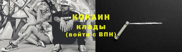 тгк Арсеньев
