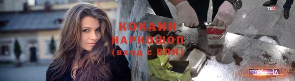 тгк Арсеньев