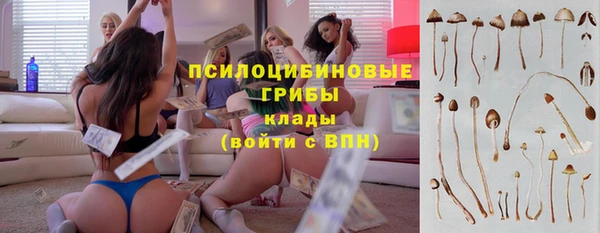 тгк Арсеньев