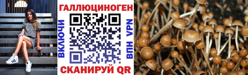 Псилоцибиновые грибы мицелий  Бронницы 